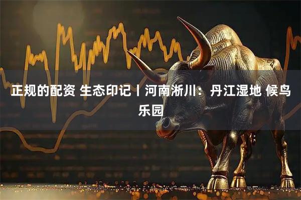 正规的配资 生态印记丨河南淅川：丹江湿地 候鸟乐园
